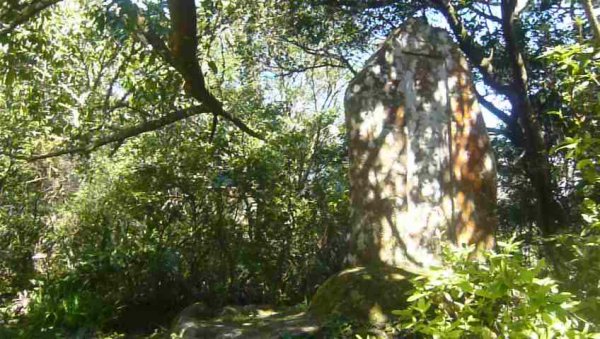 初四走春～向天山、面天山1270725