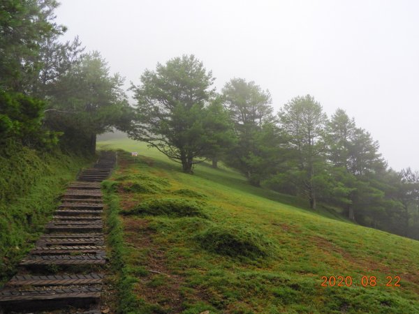 南投 信義 鹿林前山、鹿林山、麟趾山1079407