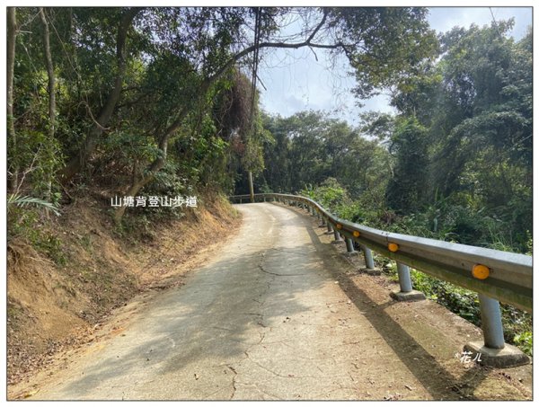 小北埔山、茶香小徑、櫻木花之道連走2759716