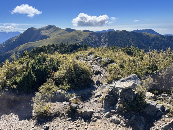 雪山西稜 2023_1105(D4B) 奇峻山2341901