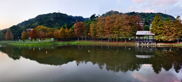 #花卉試驗中心 #永公路500巷 #平菁街42巷 #原住民公園 #士林官邸 1/42979270