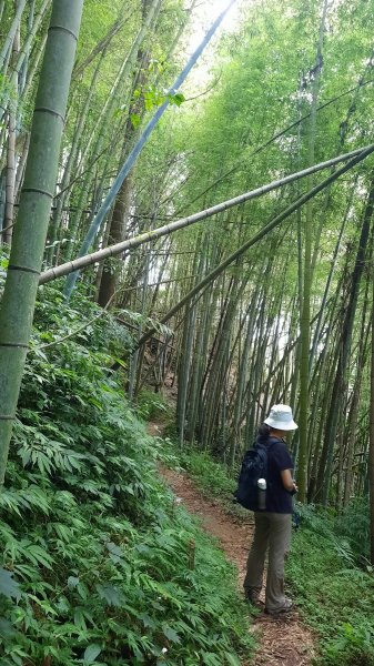 《嘉義》悠晃水社寮｜四大天王山步道O繞202207101759178