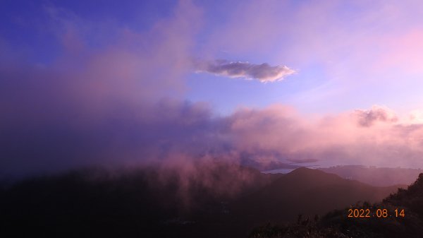 久違的觀音圈，差強人意的雲瀑1803009