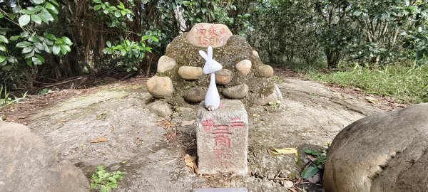 五酒桶山、山鼻山步道-2026/01/25