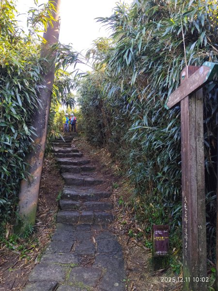 【臺北大縱走 2】【第二回合全程完成證書】鞍部→大屯山步道→大屯山主峰→大屯坪步道→二子坪步道2960367