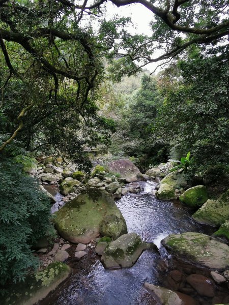 面天山、向天山步道→七星山主、東峰→大溝溪溪畔步道→碧湖公園步道→坪頂古圳親水步道→台北植物園步道1667633