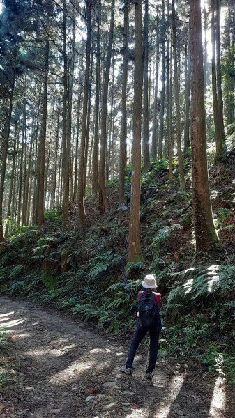 《新竹》幸福雲海｜鵝公髻山步道X山上人家202211051900104