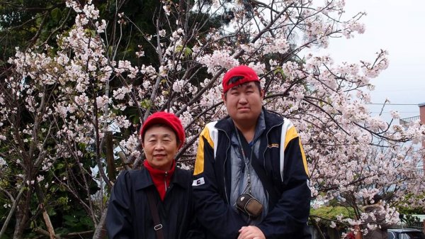 陽明山東方寺—櫻花怒放902585