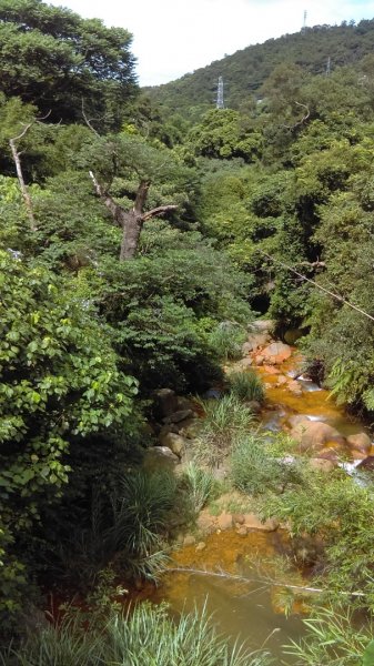 半嶺步道→陽峰古道→陽明公園→前山公園1028464