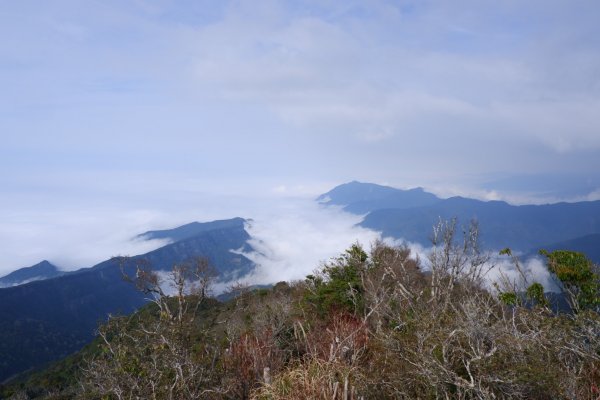 加里山2220公尺-鹿場登山口857427