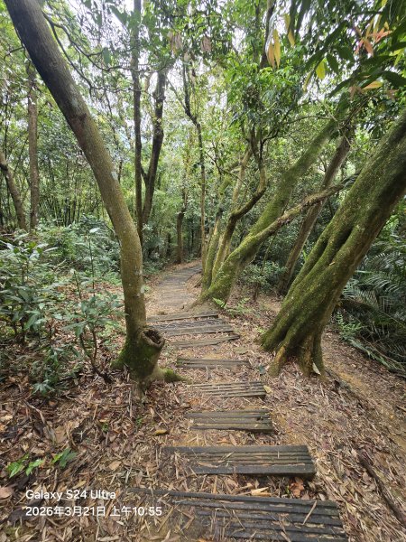 2026-03-21微笑山線：【鳶山山系】鳶山彩壁段3020478