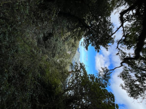 20231127_觀霧榛山步道（森遊竹縣）2763100