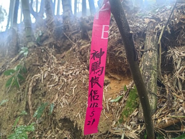 梅山鄉撿山頭2449428