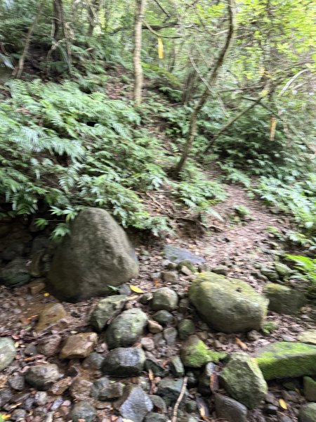 淡蘭北路第二段：燦光寮至澳底2876408