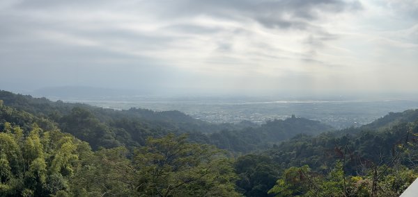 20260102松柏嶺登廟步道+松柏坑山、田園茶香賞茶步道+坑內坑森林步道2982906