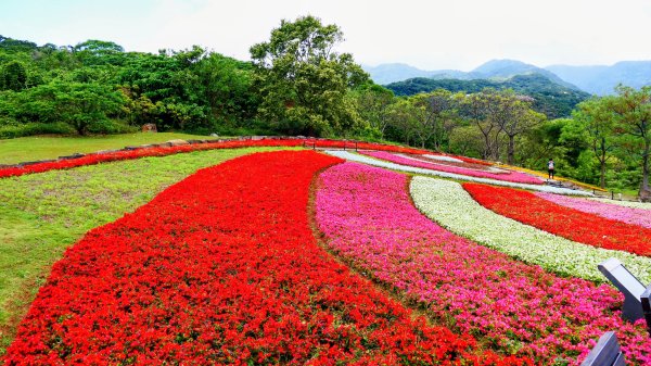 北投社三層崎3010983