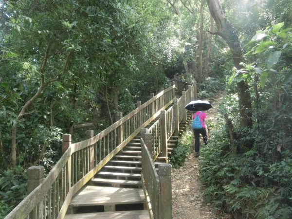 觀日坪古道．飛鳳山182490