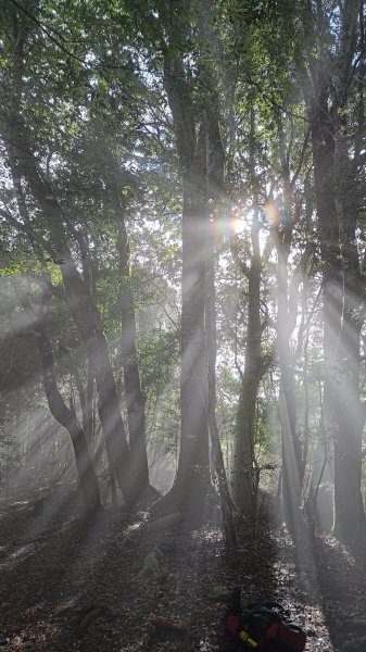 屯野生台山、石麻達山2993165