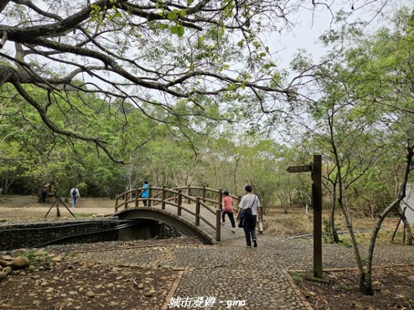【台中龍井/大肚】竹坑南寮登山步道x瑞井登山步道O繞3031255