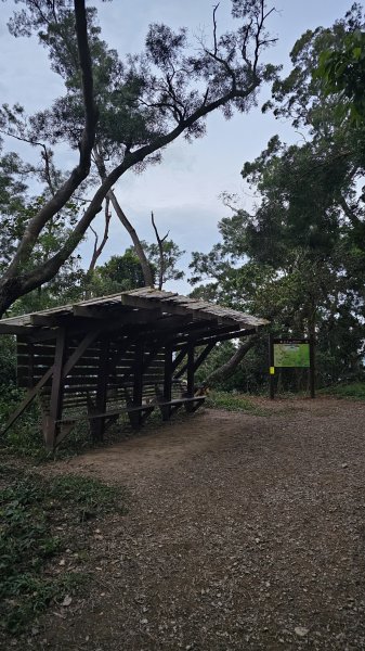 250105-七衝魔王小百岳#073尾寮山。開春第一走，最愛仍是你。2697961