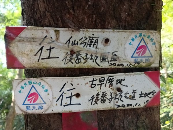 雙溪區大平林山+后番子坑古厝+后番子坑山+武山煤礦事務所+焦炭窯O型2988533