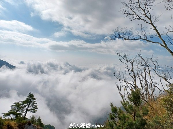 【高雄桃源】朝聖壯闊山景之南橫三星。 編號77百岳~關山嶺山2089028