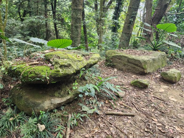 台南關子嶺大凍山 雲萊山莊 水火同源 碧雲寺1877095