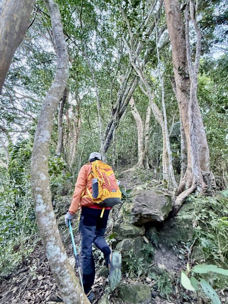 苗栗冷門山--蕃婆石山5基石連登   2026.01.112981365