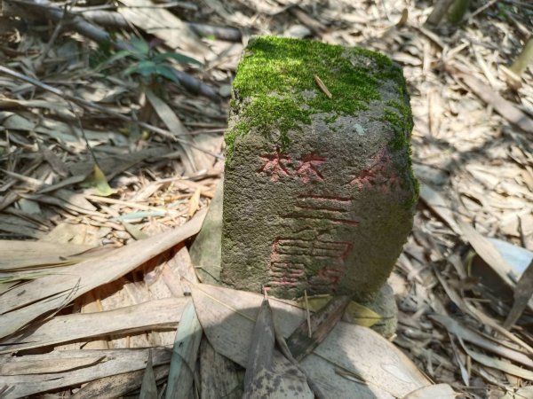 20220430南投國姓埔里菅蓁巷山、大石股山、青番頭坑山、種瓜路山、頂草湳山、桃米坑山、牛相山基石1694244