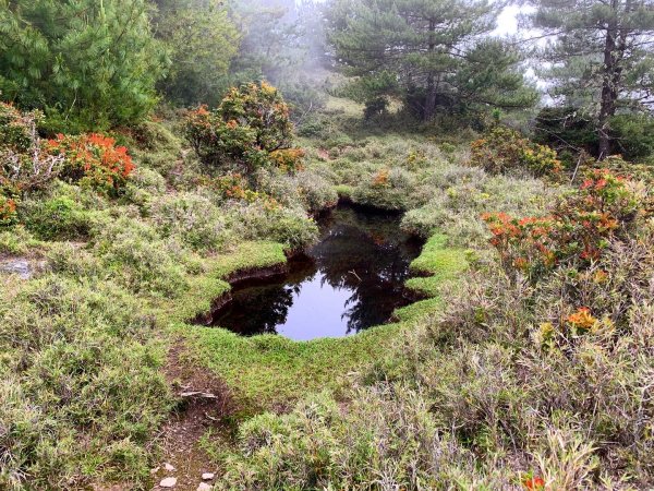 【百岳】南湖群峰四日，3000Mx10座2203838