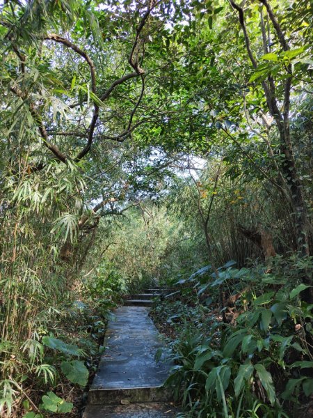 2023.12.14 紅淡山2826456