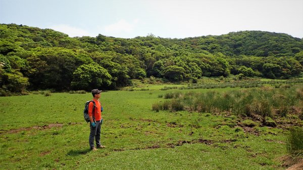 台北最後的淨土磺嘴山自然保護區健行趣1340960