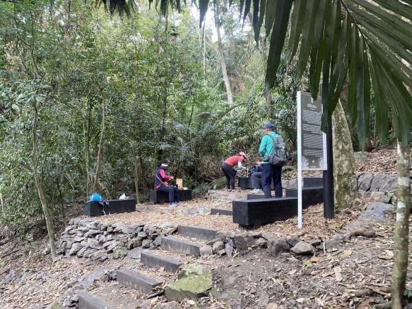 《雪山坑登山步道｜巨人之手森林秘境 Xueshankeng Hiking Trail & Giant2971075