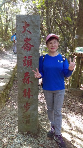 【臺北親山拓印趣】林蔭青蔥的大崙頭尾山738364