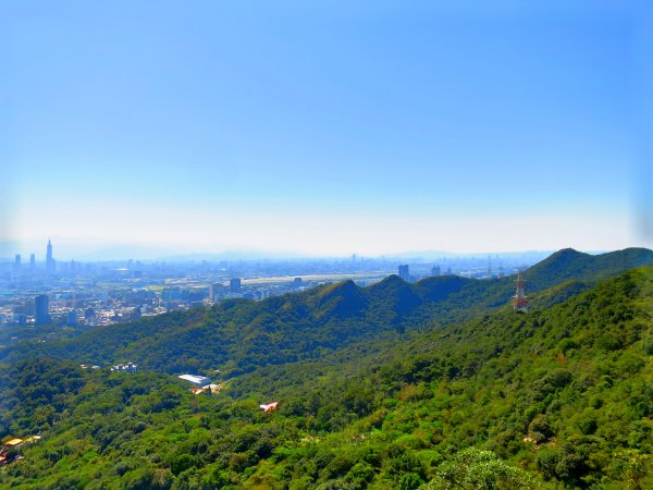 龍年首登的好選擇，鯉躍龍門，搭捷運來內湖爬三尖，鯉魚山、忠勇山、圓覺尖2426504