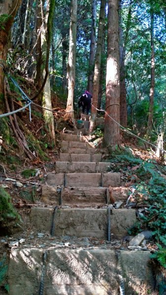 東洗水山1198450