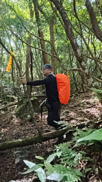 大混李棟山2816342