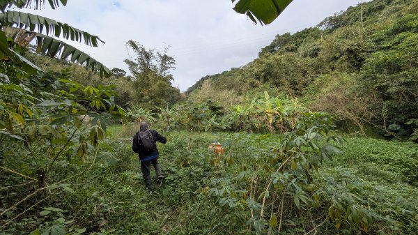 114.12.20劉銘傳隧道-獅球嶺北峰-獅球嶺東砲台山-獅球嶺池-獅球嶺砲台山之旅2966743