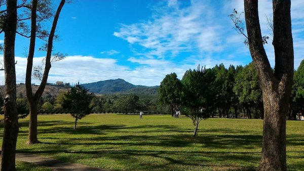 南投松柏坑山，登廟步道，賞茶步道，七星陣地公園，日月潭，彰化石牌坑古道1681292