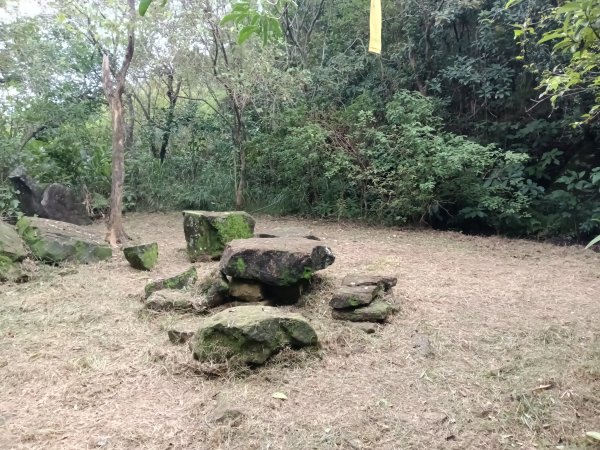 貢寮區大嶺古道+大石壁坑山+龍字碑+五酒桶山+龍崗山2948286