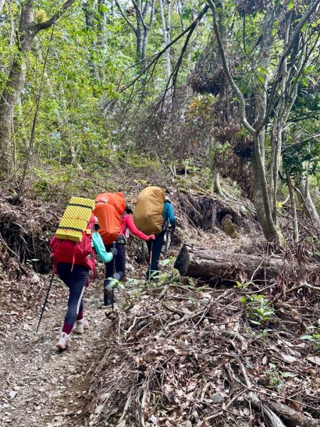 能高安東軍 被水鹿包圍的奇幻冒險旅程2811106
