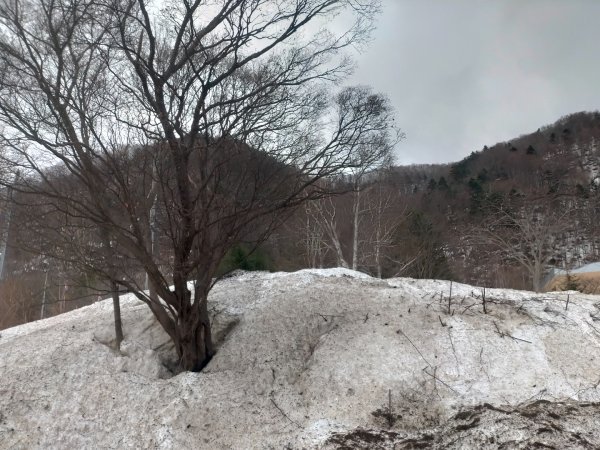 日本北海道札榥定溪山2760378