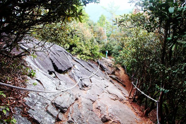 鳶嘴、稍來山O環-飛越岩稜 赴約紅葉 !787283