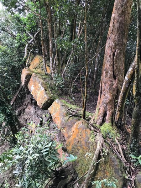 仙山.八仙古道O型走封面