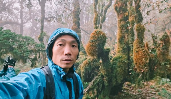 茶仁山單攻2025年4月4日2753363