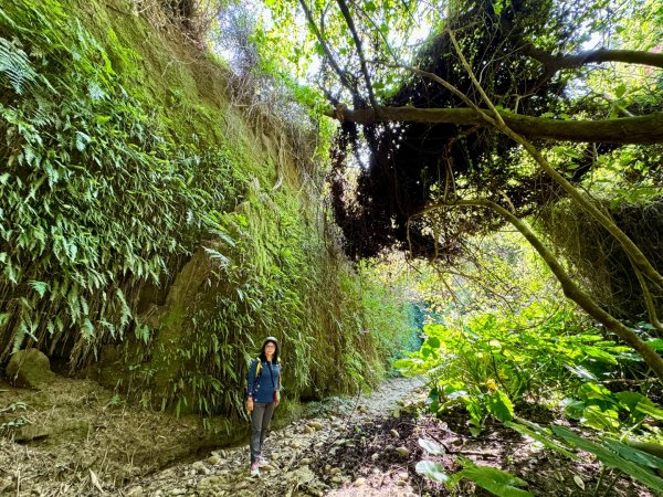 彰化一線天2657580