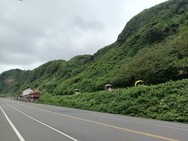 基隆市金針谷農家-深澳山O型3039997