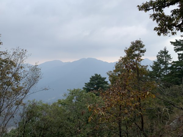 20231125台中谷關七雄東卯山2365224