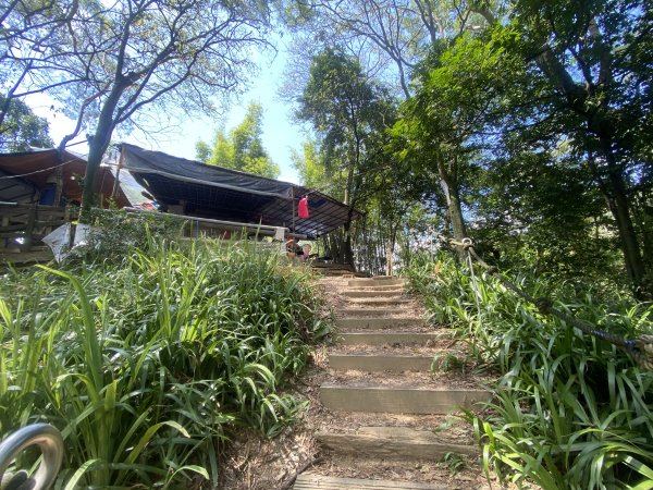 2025微笑山線大縱走尋寶集章任務-Ep.03【鳶山山系】鳶山彩壁段2893707