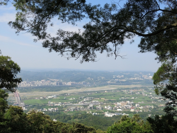 新竹小百岳～飛鳳山步道46954